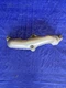 🔆Left Up-Pipe Heat Shield 11-16 Chevrolet Silverado 2500 HD 6.6 12625231 Diesel