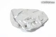 2021-2023 AUDI A5 2.0L FRONT EXHAUST DOWNPIPE HEAT SHIELD COVER 06L253243L OEM