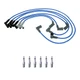 NGK Ignition Kit For Ford