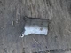 86-91 Mazda Rx7 Fc Fc3s Transmission Heat Shield Cover Oem