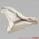 MAZDA MX-5 MIATA NA NA8C 1990-1993 Genuine Heat Shield B61P-13-380D OEM