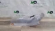 2020-2022 MITSUBISHI MIRAGE EXHAUST HEAT SHIELD OEM 5374A469