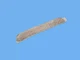 Genuine Mopar Exhaust Shield 68229713AA
