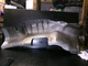 Exhaust Heat Protective Shield 1646822271 06-11 Mercedes Benz W164 ML350 ML500