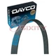 Dayco Main Drive Serpentine Belt for 2014-2015 Jaguar F-Type 3.0L 5.0L V6 V8 nr