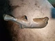 12625231 LML CHEVY GMC 6.6L DURAMAX DIESEL USED EXHAUST UP PIPE SHROUD 