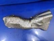 Jaguar X250 XF F Type XJ 10-17 5.0 right Engine Exhaust Manifold heat shield oem