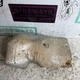 79-85 Mazda RX7 Metal Front Exhaust Heat Shield SA FB