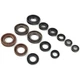10240 - 990A004SR ENGINE SEALING KIT Compatible with BETA ARK 50 LC FACTOR
