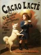 10453.Decoration Poster.Home interior design.Room Wall Art.White cat and girl