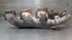 Driver Exhaust Manifold 3.0L Diesel Fits 14-17 DODGE Ram 1500 PICKUP 6754289