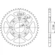 Steel Crown P428 - Z39 (Design 10201)