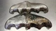 2003-2006 Dodge Viper SRT-10 OEM Left & Right Exhaust Manifold Heat Shields