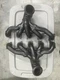 FITS 03-06 DODGE VIPER EXHAUST MANIFOLDS 5037196AD -NEW OEM