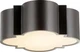 Ceiling Mount Fixture CYAN DESIGN WYATT 2-Light Noir Black Iron Medium E26 60W