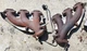 2005 - 2010 DODGE CHALLENGER, CHARGER, CHRYSLER 300 EXHAUST MANIFOLD SET 3.5L