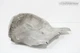 2011-2018 AUDI A8L QUATTRO REAR RIGHT BODY SILENCER HEATSHIELD HEAT SHIELD OEM