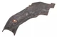 Genuine GM Passenger Side Exhaust Heat Shield 12669447