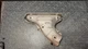 2001-05 Mazda MX-5 Miata Exhaust Manifold Heat Shield BP6F-13-390A