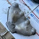 Used 96-00 Honda Civic Exhaust Manifold Upper Heat Shield.  D16Y7 CX DX LX