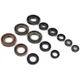 10244-ENGINE SEALING KIT 556A007SR CENTAUR compatible with APRILIA RX 50