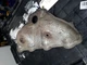 Used 96-00 Honda Civic Exhaust Manifold Upper Heat Shield.  D16Y7 CX DX LX