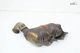 2018-2022 CHRYSLER PACIFICA 3.6L V6 EXHAUST SYSTEM REAR TUBE PIPE MANIFOLD OEM