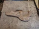 1970-76 Buick GS GSX Electra 225 LeSabre Riviera LH Exhaust Manifold Heat Shield