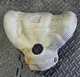 2015-2022 JEEP RENEGADE 2.4L ENGINE EXHAUST MANIFOLD HEAT SHIELD COVER TOP OEM