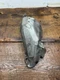 BMW E70 X5 09-13 Exhaust Heat Shield Cover 780754502 OEM