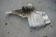 OEM BMW E46 Front Right Frame Rail Exhaust Heat Shield 01-05 325i 330i