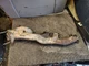 1968-72 Buick GS Riviera Electra Wildcat 400 430 455 RH Exhaust Manifold 1383648