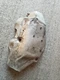 2009 Chevrolet Impala left exhaust manifold heat shield oem 12586678