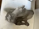 Genuine Nissan Titan 5.0 Diesel Heat Shield 16590-EZ40D