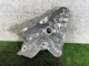 18-25 NISSAN KICKS VERSA 1.6L ENGINE EXHAUST MANIFOLD HEAT SHIELD COVER OEM