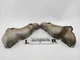 Lexus SC400 SC300 Pair Of Exhaust Manifold Heat Shields 4.0L V8 8 Cyl Fits 92-00