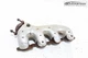 2014-2018 CHEVY SILVERADO 1500 ENGINE LEFT SIDE EXHAUST MANIFOLD & SHIELD OEM