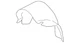 Genuine Land-Rover 2018-2023 Heat Shield LR174652