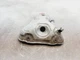 2020 2021 2022 KIA SOUL 2.0L EXHAUST MANIFOLD HEAT SHIELD OEM 28525-2E370