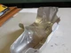 NEW 2009 2010 2011 FORD ESCAPE 3.0L EXHAUST MANIFOLD HEAT SHIELD 9L8Z-5E258-B