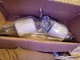 Driver Side Catalytic Converter for INFINITI G37 Q50 G35 M37 M35 Nissan 370Z V6 