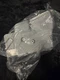 Genuine Land-Rover Rear Shield LR083676 OEM