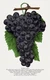 10269.Decor Poster.Room wall art design.Fruits.Vegetables.Chef Kitchen.Grapes