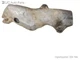 Upstream Exhaust Pipe Heat Shield 11-16 Chevrolet Silverado 3500 HD 6.6 12839275