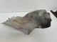 06-11 Mercedes W164 ML350 Front Right Passenger Exhaust Heat Shield 1643320388