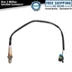 Engine Exhaust O2 02 Oxygen Sensor Direct Fit for GM