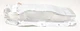 NEW OEM Ford Floor Pan Tunnel Heat Shield LX6Z-7811434-D Ford Escape 2020-2025
