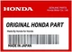 New Honda OEM 18320-ZF1-H02 18320-ZF1-H01 Muffler (Std) Protr
