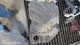 ENGINE COVER OEM 2021 BUICK ENCOREGX 55512306