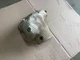Kia Niro Engine Exhaust Manifold Heat Shield